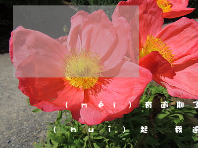 沒(méi)有逾期了還會(huì)不會(huì)起訴我(逾期被起訴不去有什么后果)