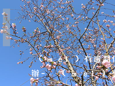 沒(méi)有逾期信用卡被停用欠款怎么辦-沒(méi)有逾期信用卡被停用欠款怎么辦呢