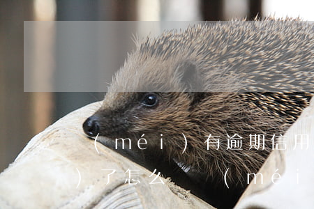 沒(méi)有逾期信用卡被凍結(jié)了怎么辦（沒(méi)有逾期信用卡被凍結(jié)了）