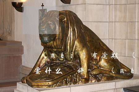 沒(méi)有逾期個(gè)性化分期需要什么條件-沒(méi)有逾期個(gè)性化分期需要什么條件才能貸款