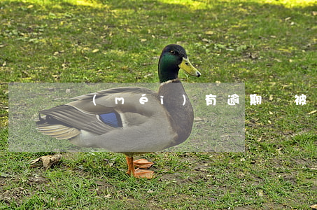 沒(méi)有逾期卻被拒貸