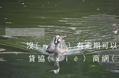 沒(méi)有逾期可以跟網(wǎng)貸協(xié)商(網(wǎng)貸逾期協(xié)商所需要知道法律)