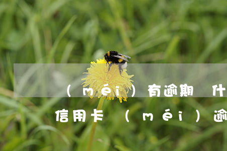 沒(méi)有逾期為什么信用卡不能分期（信用卡沒(méi)逾期能跟銀行協(xié)商分期嗎）