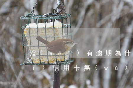 沒(méi)有逾期為什么辦不下來(lái)信用卡（無(wú)逾期信用卡批不下來(lái)）