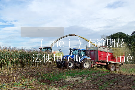 沒(méi)有逾期花唄為什么無(wú)法使用了呢-沒(méi)有逾期花唄為什么無(wú)法使用了呢怎么辦