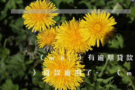沒(méi)有逾期貸款收到說(shuō)貸款逾期了-沒(méi)有逾期貸款收到說(shuō)貸款逾期了是真的嗎