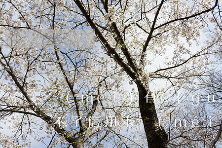 沒(méi)有過(guò)逾期為什么辦不了信用卡(沒(méi)逾期過(guò)為什么不能申請(qǐng)信用卡)