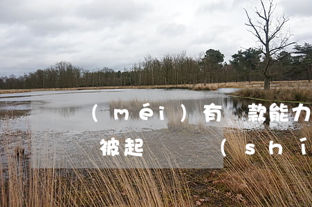 沒(méi)有還款能力被起訴了怎么辦(欠錢被起訴確實(shí)沒(méi)有還款能力怎么辦)