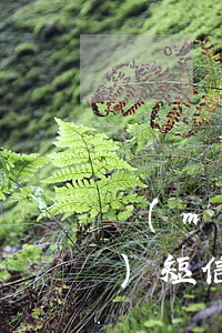沒(méi)欠網(wǎng)貸發(fā)短信說(shuō)家里留人(家里人借了網(wǎng)貸留了你的電話(huà)怎么辦)