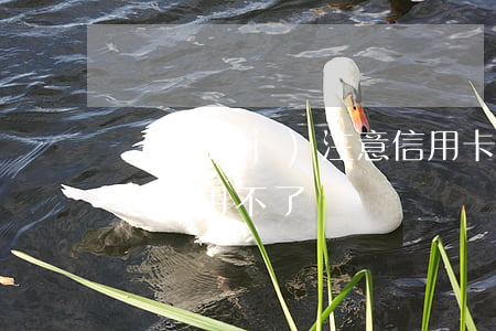 沒(méi)注意信用卡逾期了（信用卡逾期幾天用不了）