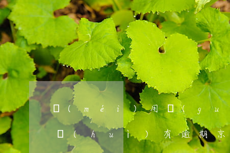 沒(méi)用過(guò)京東白條怎么會(huì)有逾期(京東白條不小心逾期了)