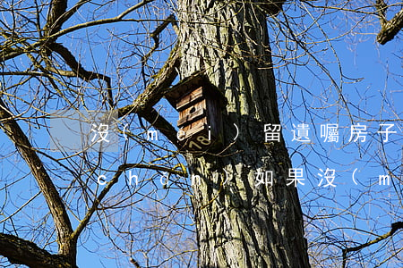 沒(méi)留遺囑房子女怎么繼承(房產(chǎn)如果沒(méi)有遺囑誰(shuí)可以繼承)