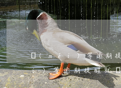 沒(méi)等逾期提醒就還款了(沒(méi)等逾期提醒就還款了)