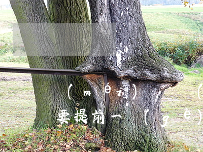 沒(méi)簽勞動(dòng)合同辭職要提前一個(gè)月嗎(沒(méi)有簽合同需要提前一個(gè)月辭職嗎)