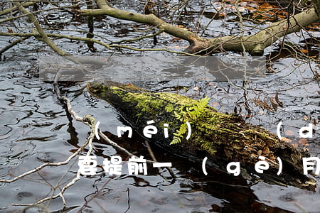 沒(méi)簽勞動(dòng)合同辭職要提前一個(gè)月嗎(還沒(méi)簽勞動(dòng)辭職要不要提前一個(gè)月)