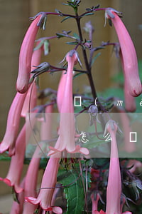 沒(méi)簽勞動(dòng)合同離職怎么賠償(超過(guò)兩年沒(méi)簽勞動(dòng)合同離職怎么賠償)