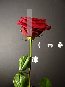 沒(méi)起訴之前可以請(qǐng)律師嗎(沒(méi)起訴之前可以請(qǐng)律師嗎)