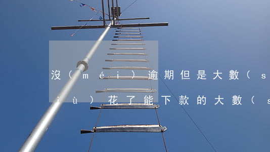 沒(méi)逾期但是大數(shù)據(jù)花了能下款的(大數(shù)據(jù)花了沒(méi)逾期能下款的口子)