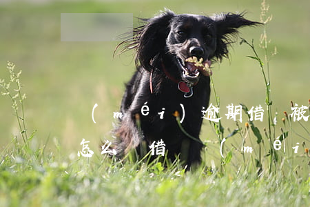沒(méi)逾期借唄被關(guān)了怎么辦(借唄沒(méi)有逾期為啥關(guān)了)