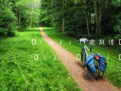 沒(méi)逾期借錢為什么還是高風(fēng)險(xiǎn)人群-沒(méi)有逾期為什么風(fēng)險(xiǎn)度高