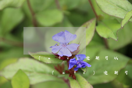 沒(méi)逾期可以協(xié)商延期嗎(沒(méi)逾期可以協(xié)商延期嗎還本金嗎)