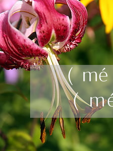 沒(méi)逾期征信花了怎么貸款(征信花沒(méi)逾期銀行還可以貸到款嗎)