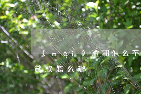沒(méi)逾期怎么不能貸款了(逾期不能貸款怎么辦)