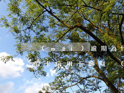 沒(méi)逾期為什么凍結(jié)信用卡(信用卡逾期沒(méi)還會(huì)凍結(jié)銀行卡嗎)