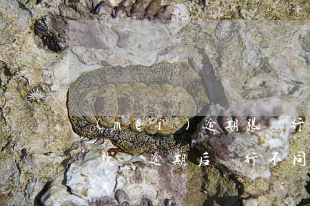 沒(méi)逾期跟銀行能協(xié)商還款嗎(逾期后銀行不同意協(xié)商還款)