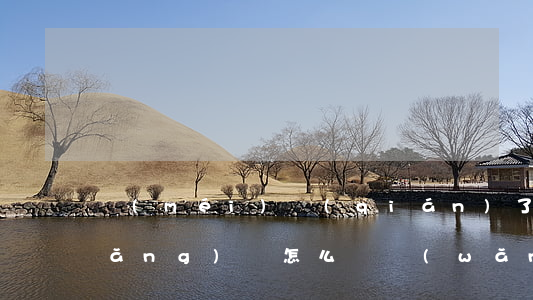 沒(méi)錢(qián)了還欠網(wǎng)貸怎么辦(網(wǎng)貸欠錢(qián)沒(méi)錢(qián)還了怎么辦)