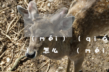 沒(méi)錢(qián)應(yīng)該怎么辦(沒(méi)錢(qián)怎么辦啊)
