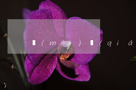 沒(méi)錢(qián)花怎么辦