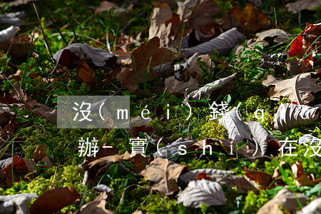 沒(méi)錢(qián)還信用卡怎么辦-實(shí)在沒(méi)錢(qián)還信用卡怎么辦