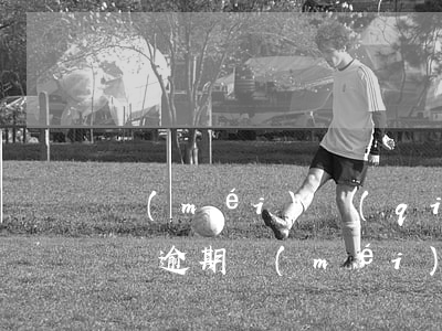 沒(méi)錢(qián)還逾期了怎么辦(逾期沒(méi)有錢(qián)還)