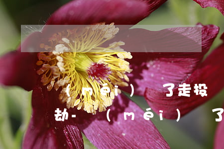 沒(méi)錢了走投無(wú)路就去搶劫-沒(méi)錢了走投無(wú)路就去搶劫什么意思
