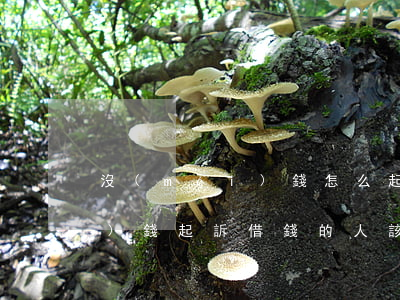 沒(méi)錢怎么起訴借款人（沒(méi)錢起訴借錢的人該怎么辦）