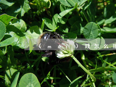 沒(méi)錢怎么辦
