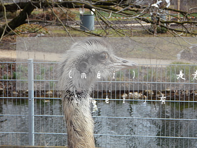 沒(méi)錢還是老賴嗎(確實(shí)沒(méi)有錢還叫老賴嗎)