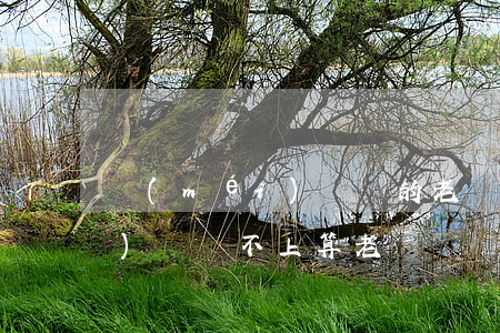 沒(méi)錢還的老賴怎么辦(沒(méi)錢還不上算老賴嗎)