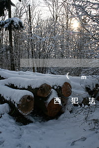 沒(méi)離婚女方就來(lái)拿東西犯法嗎(還沒(méi)離婚女方把東西拉走了)