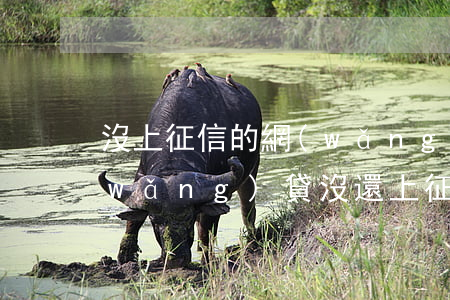 沒上征信的網(wǎng)貸可以不還(網(wǎng)貸沒還上征信嗎)