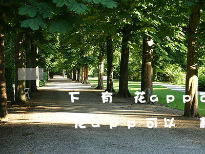 沒下載有錢花app可以還款嗎-沒下載有錢花app可以還款嗎安全嗎