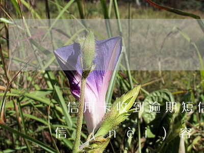 沒信用卡收到逾期短信(信用卡逾期收到的短信內(nèi)容)