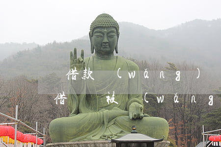 沒借款網(wǎng)貸催收缺讓還款(沒有借錢卻被網(wǎng)貸催款)