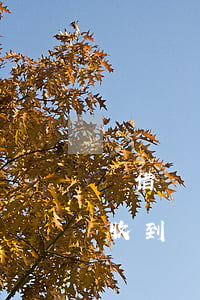 沒借過網(wǎng)貸收到逾期短信(莫名收到網(wǎng)貸逾期短信)