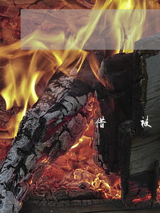 沒借錢被起訴了(沒有欠款被別人起訴)