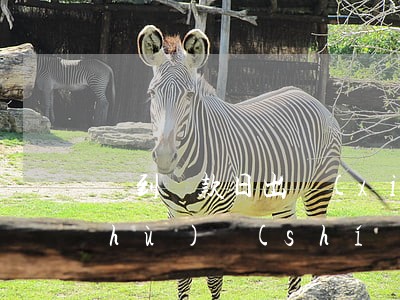 沒到還款日出現(xiàn)微粒貸維護(hù)時(shí)間-沒到還款日出現(xiàn)微粒貸維護(hù)時(shí)間怎么辦