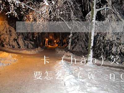 沒卡號(hào)欠網(wǎng)貸的錢要怎么(網(wǎng)貸錢沒有到卡要還嗎)