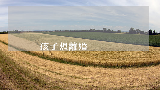 沒孩子想離婚