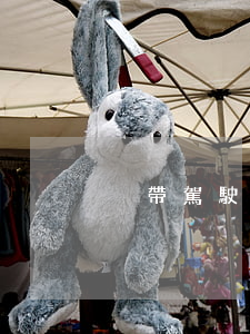 沒帶駕駛證要罰錢嗎